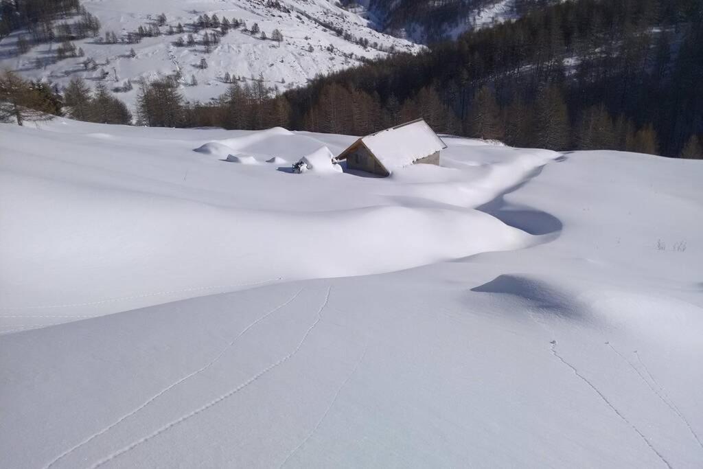Appartement La Foux d'Allos IDEAL 4 personnes Extérieur photo