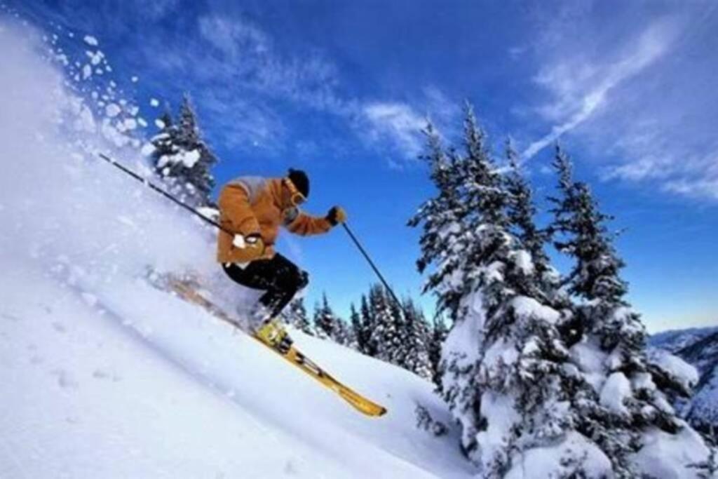 Appartement La Foux d'Allos IDEAL 4 personnes Extérieur photo